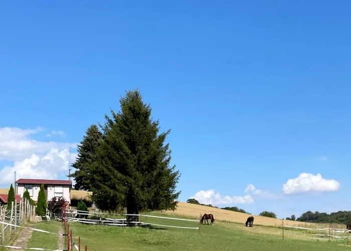 Falkenblick * Pansfelde