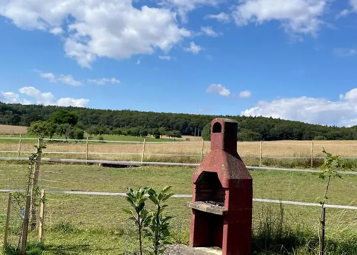Falkenblick * Pansfelde